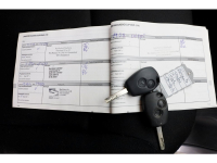 50756775-renault-trafic-6