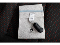 51405293-citroen-jumper-6
